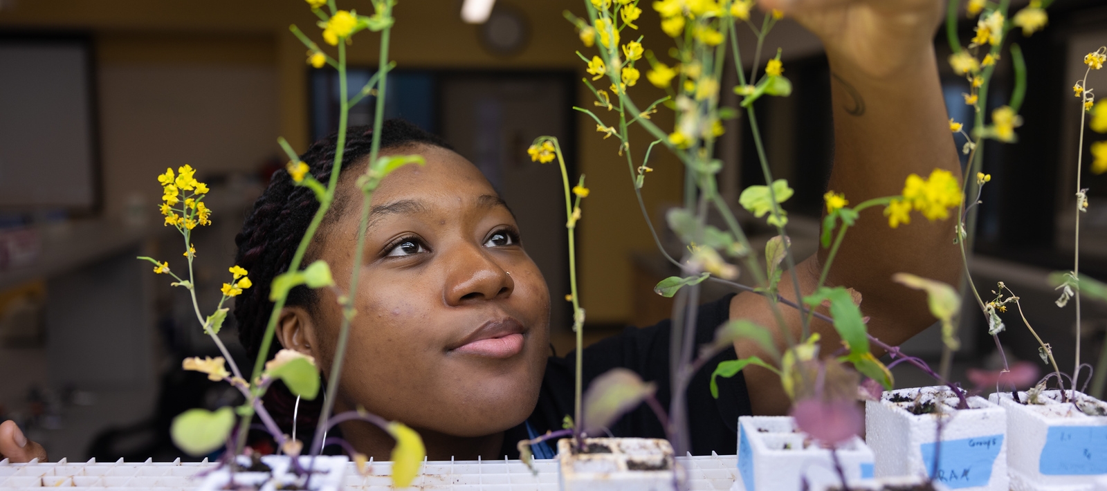 Student working in lab